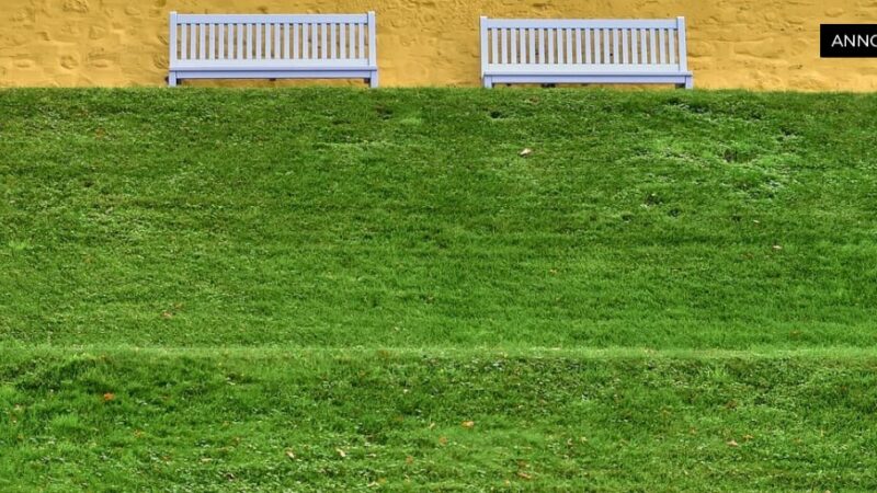 Alt du trenger å vite om terrassebord for din uteplass